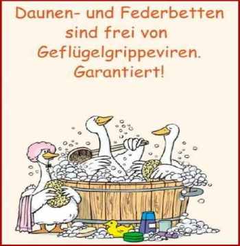 Gänsedaunen sind Virenfrei